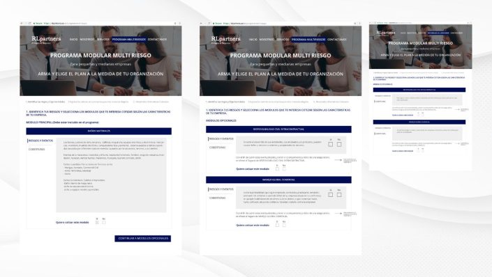 Simulador Cotizador RL Partners pagina 2